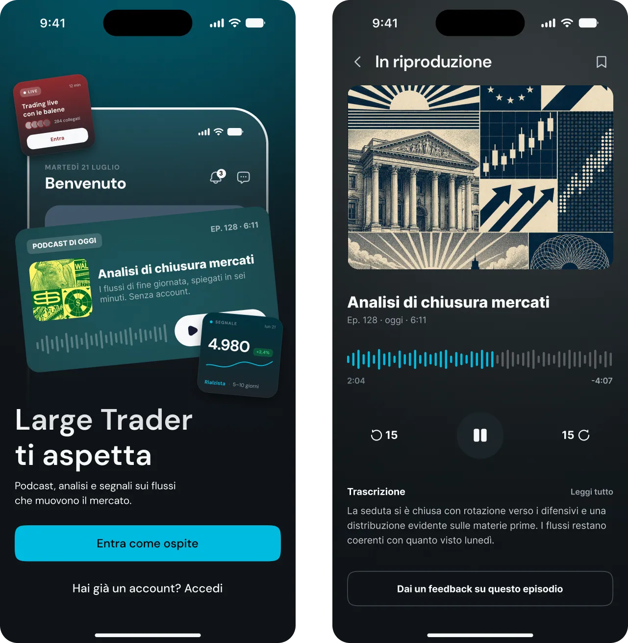 Large Trader project cover